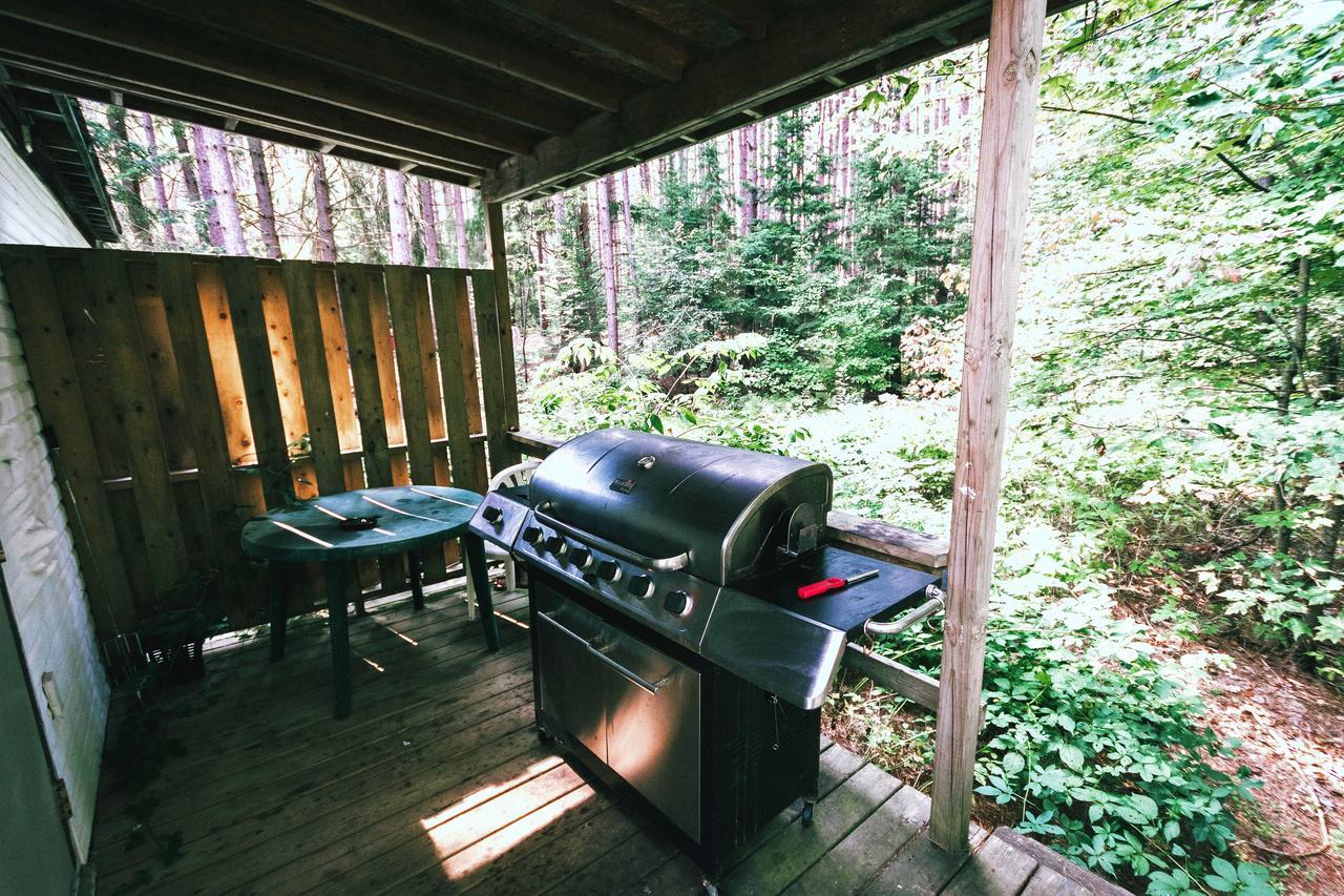 High Falls Bay Cottages, Camping & Waterpark 브레이스브리지 외부 사진