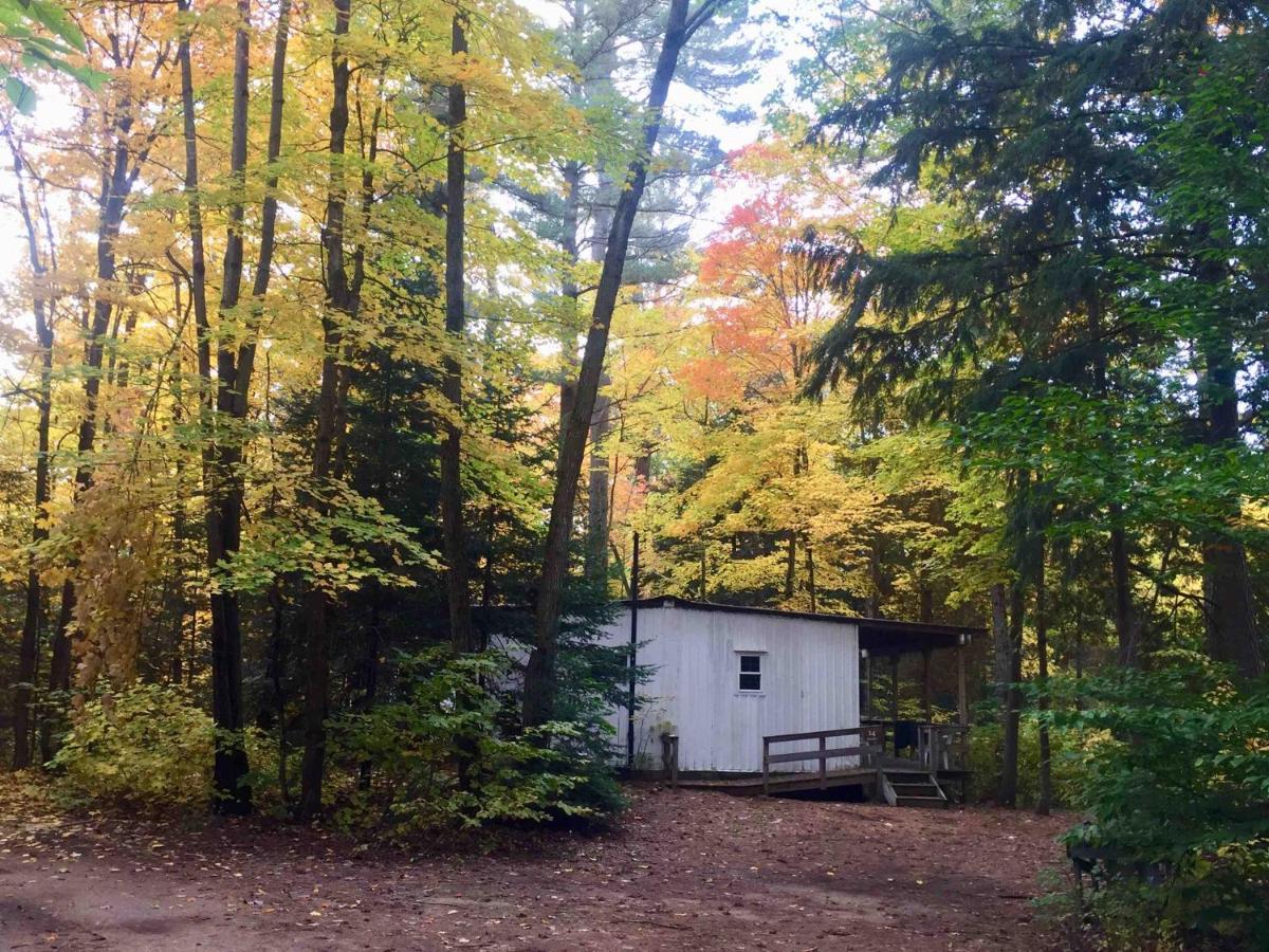 High Falls Bay Cottages, Camping & Waterpark 브레이스브리지 외부 사진